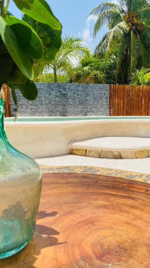 Casa Delfines Rio Lagartos Hotel Ngoại thất bức ảnh