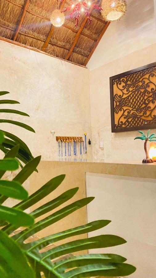Casa Delfines Rio Lagartos Hotel Ngoại thất bức ảnh