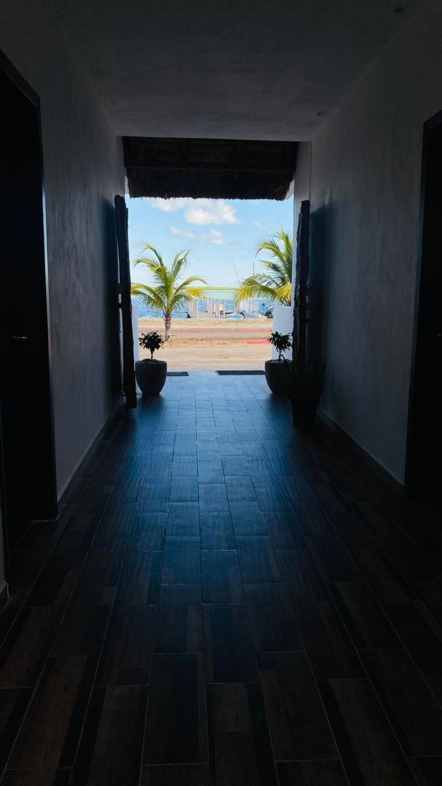 Casa Delfines Rio Lagartos Hotel Ngoại thất bức ảnh